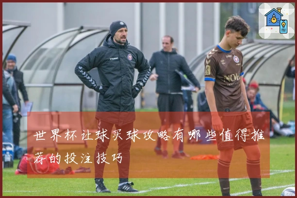 世界杯让球买球攻略有哪些值得推荐的投注技巧