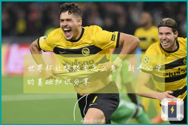 世界杯让球赔率怎么看?新手必学的基础知识分享