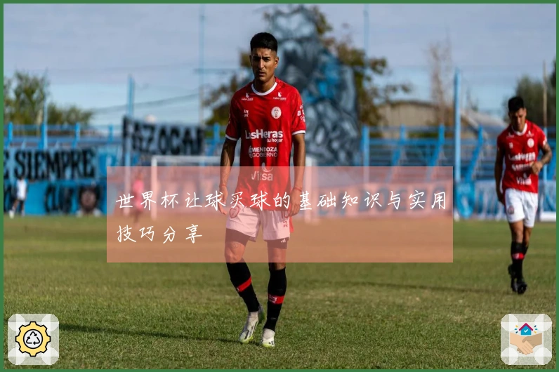 世界杯让球买球的基础知识与实用技巧分享
