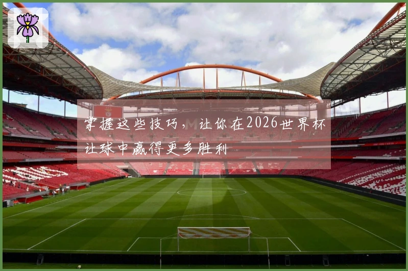 掌握这些技巧，让你在2026世界杯让球中赢得更多胜利
