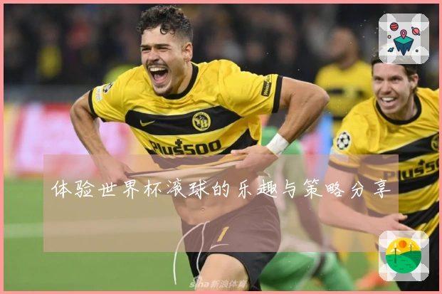 体验世界杯滚球的乐趣与策略分享