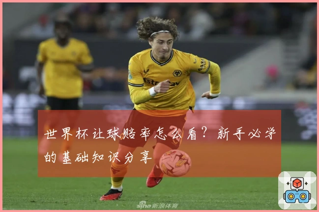 世界杯让球赔率怎么看？新手必学的基础知识分享