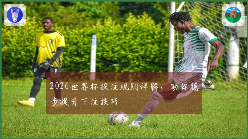 2026世界杯投注规则详解，助你稳步提升下注技巧