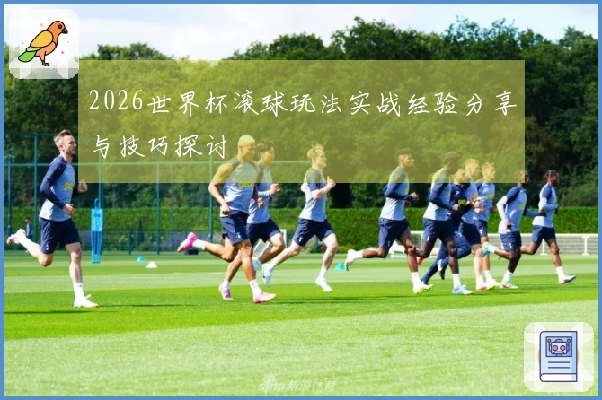 2026世界杯滚球玩法实战经验分享与技巧探讨